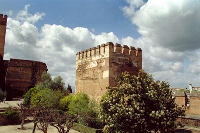alhambra palace in granada