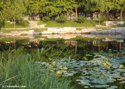 zhongshan park lake